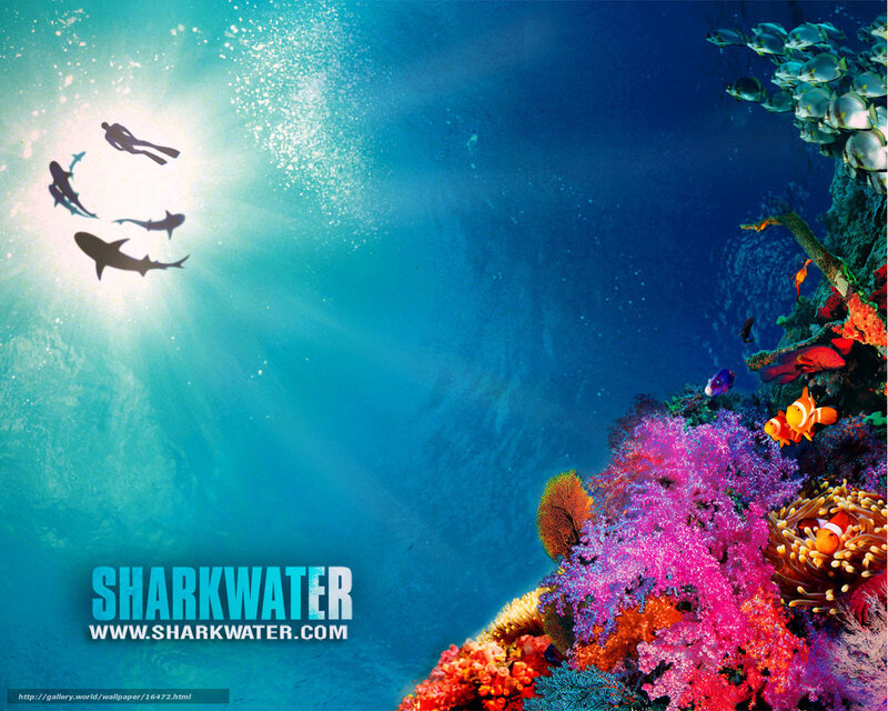 Underwater coral reef scene