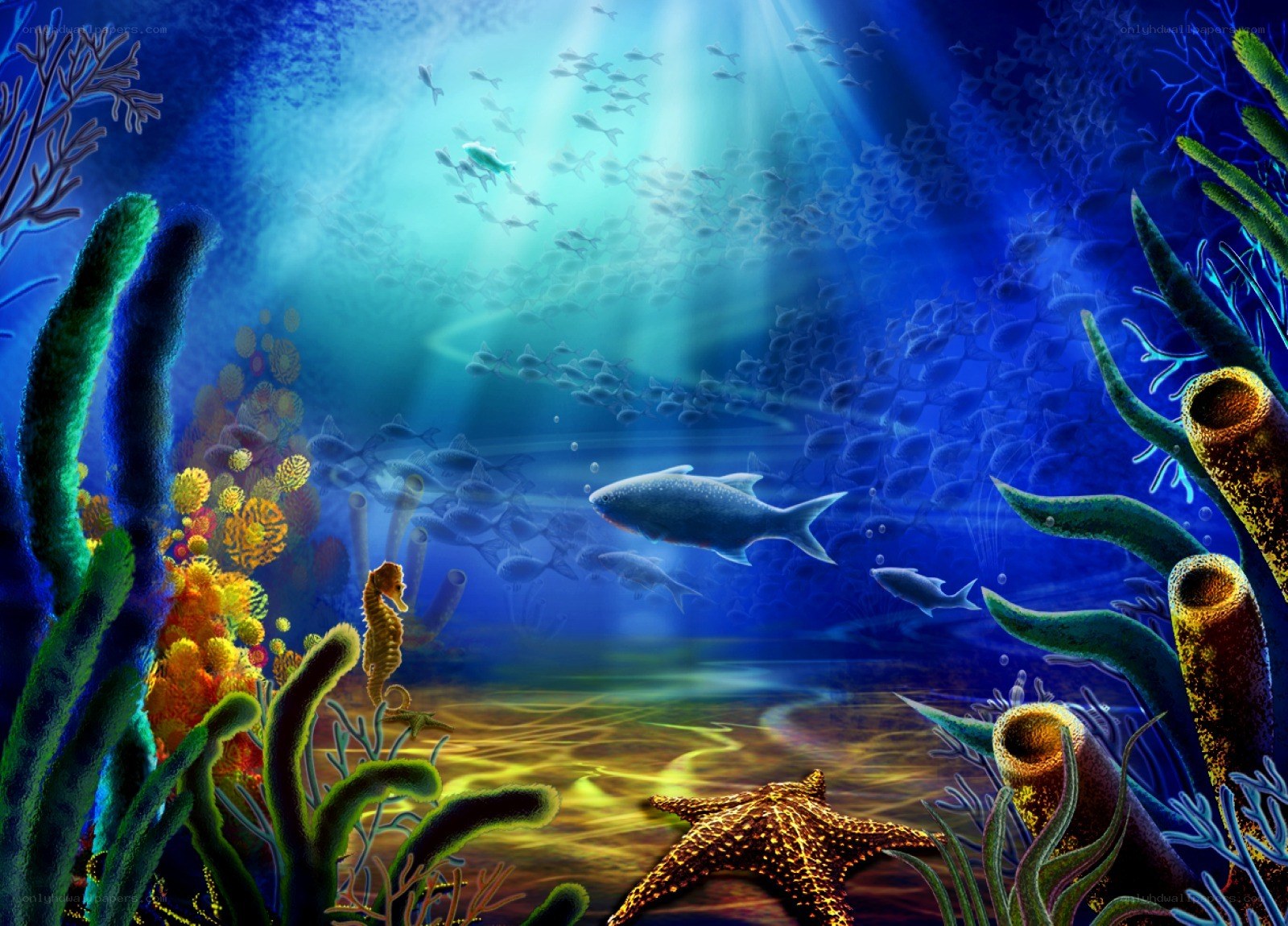 Underwater coral reef scene