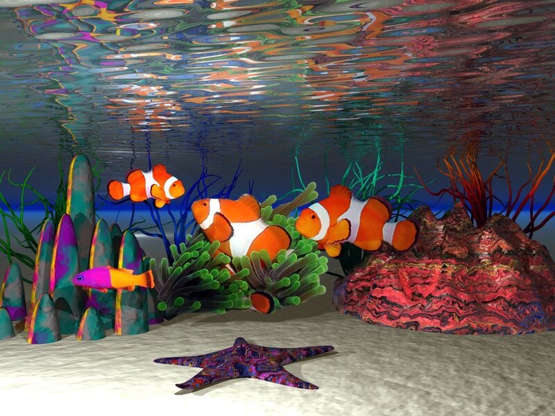 Underwater coral reef scene