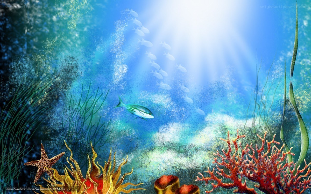Underwater coral reef scene