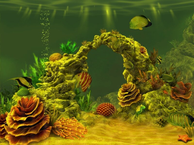 Underwater Coral Reef