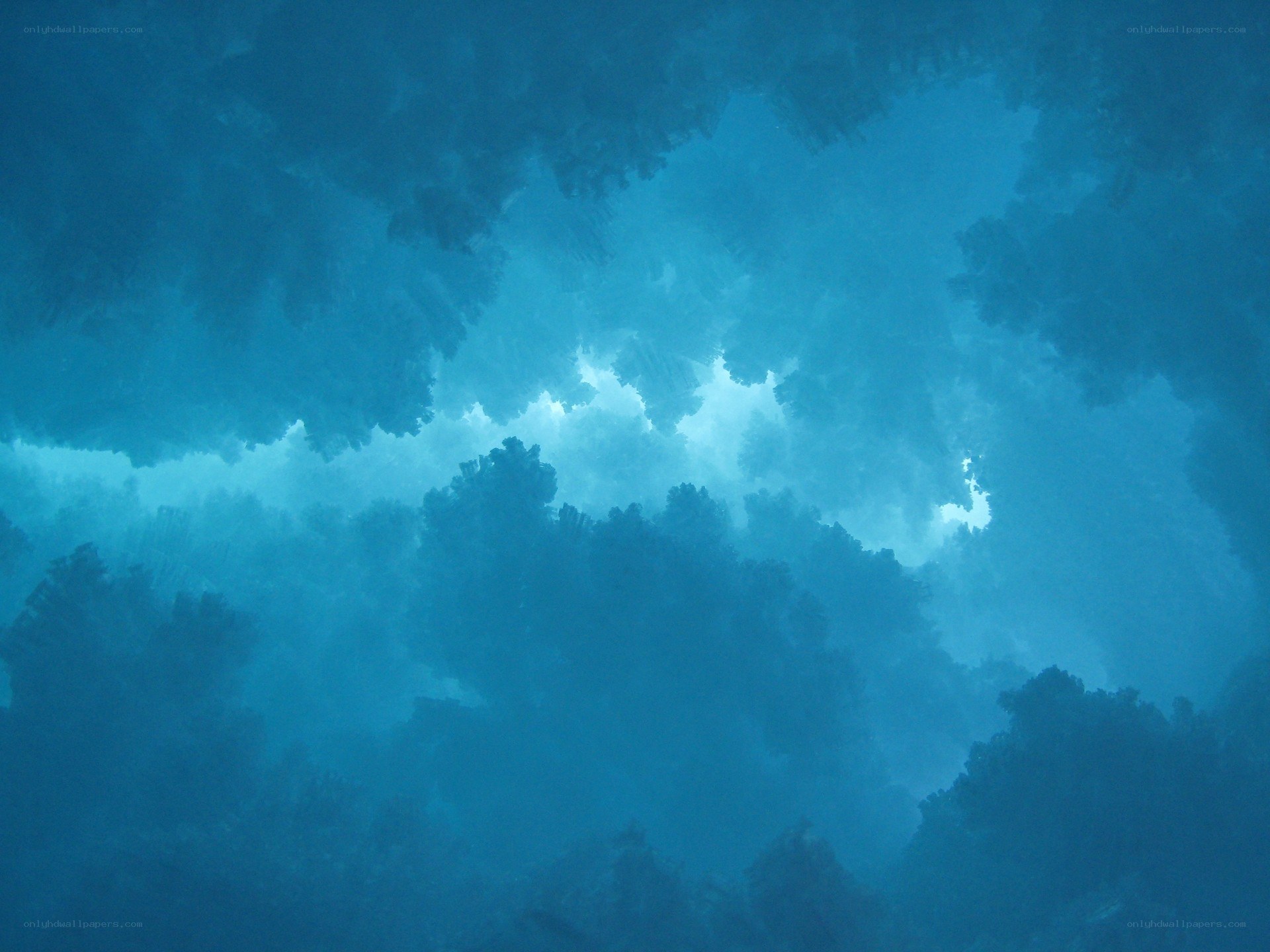 underwater coral reef view