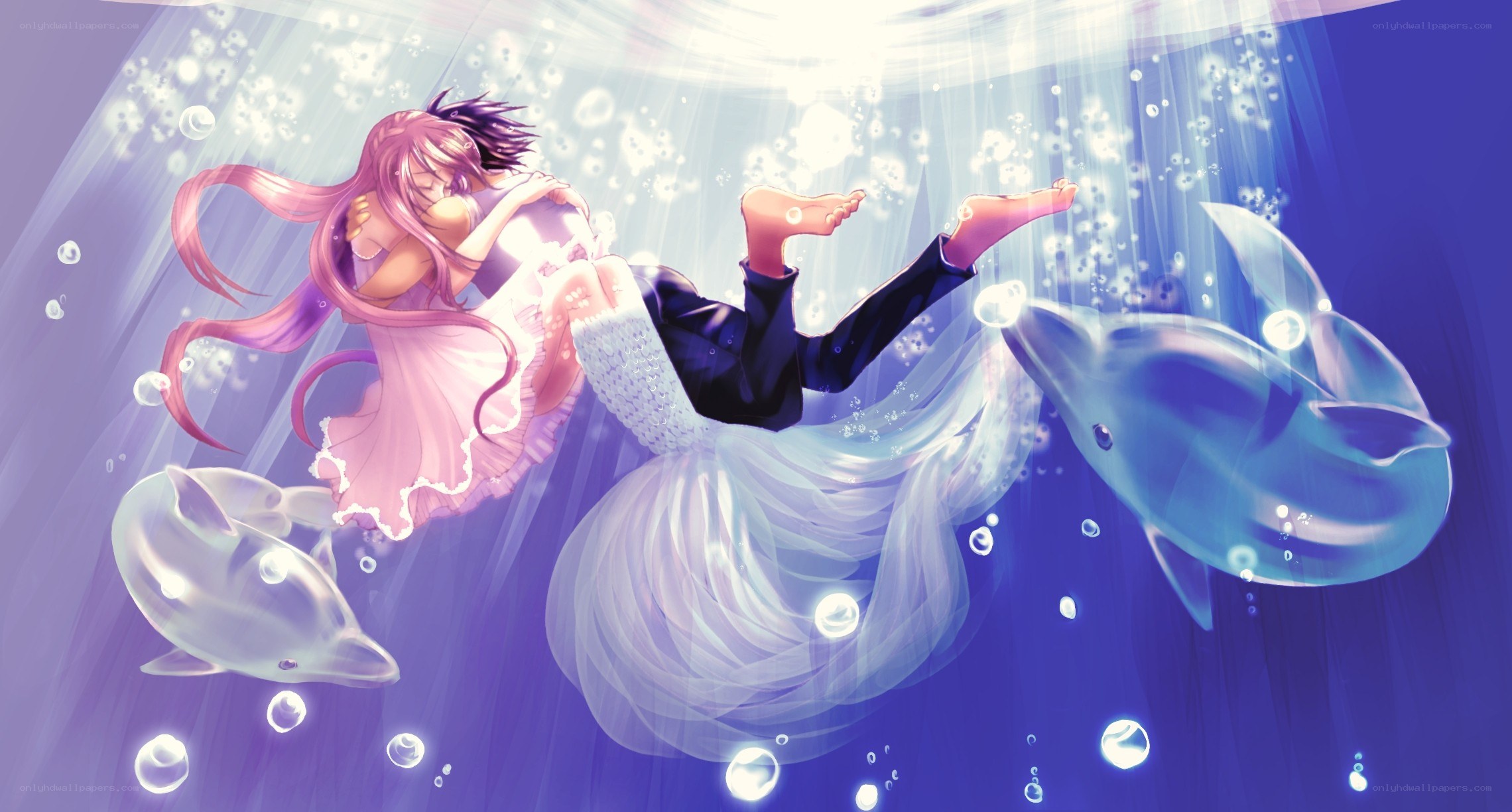 underwater couple with dolphins