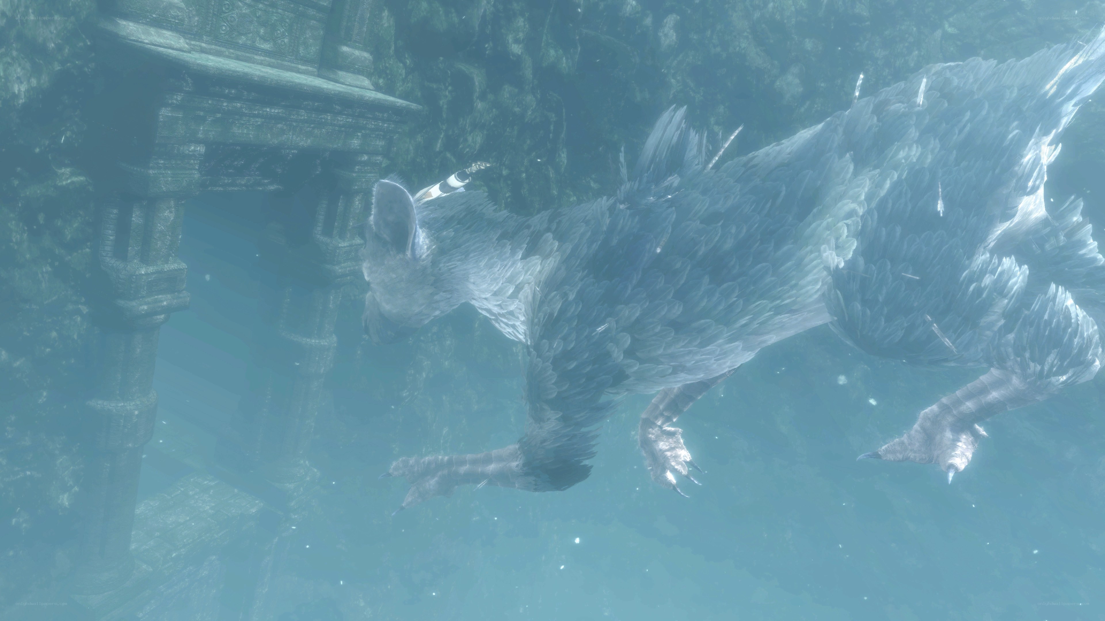 Underwater creature in ancient ruins
