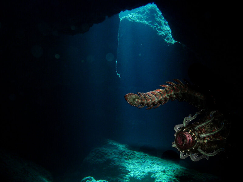 Underwater creature in cave
