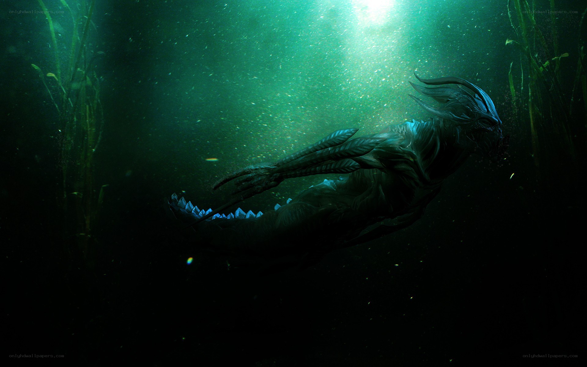 Underwater creature in green light