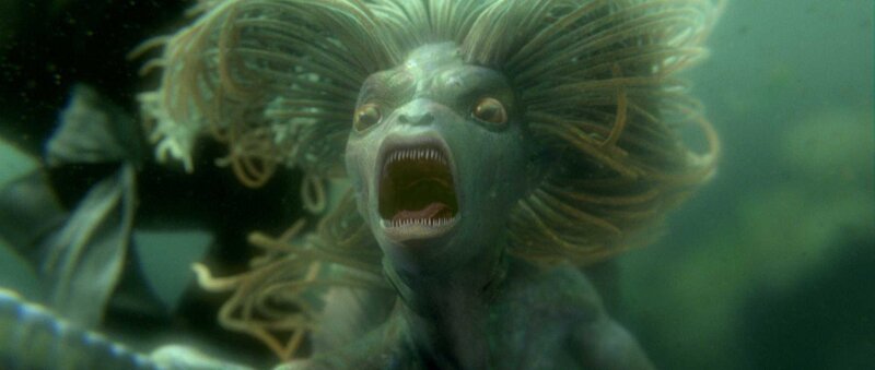 underwater creature with open mouth