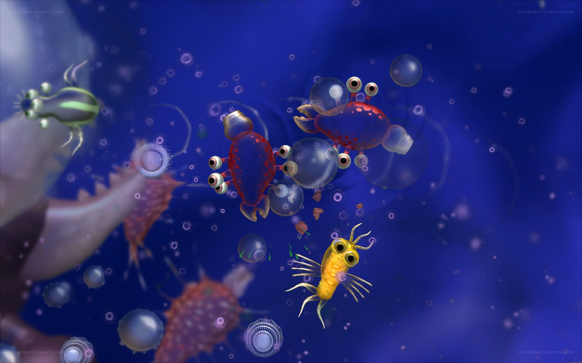 Underwater creatures in a blue sea