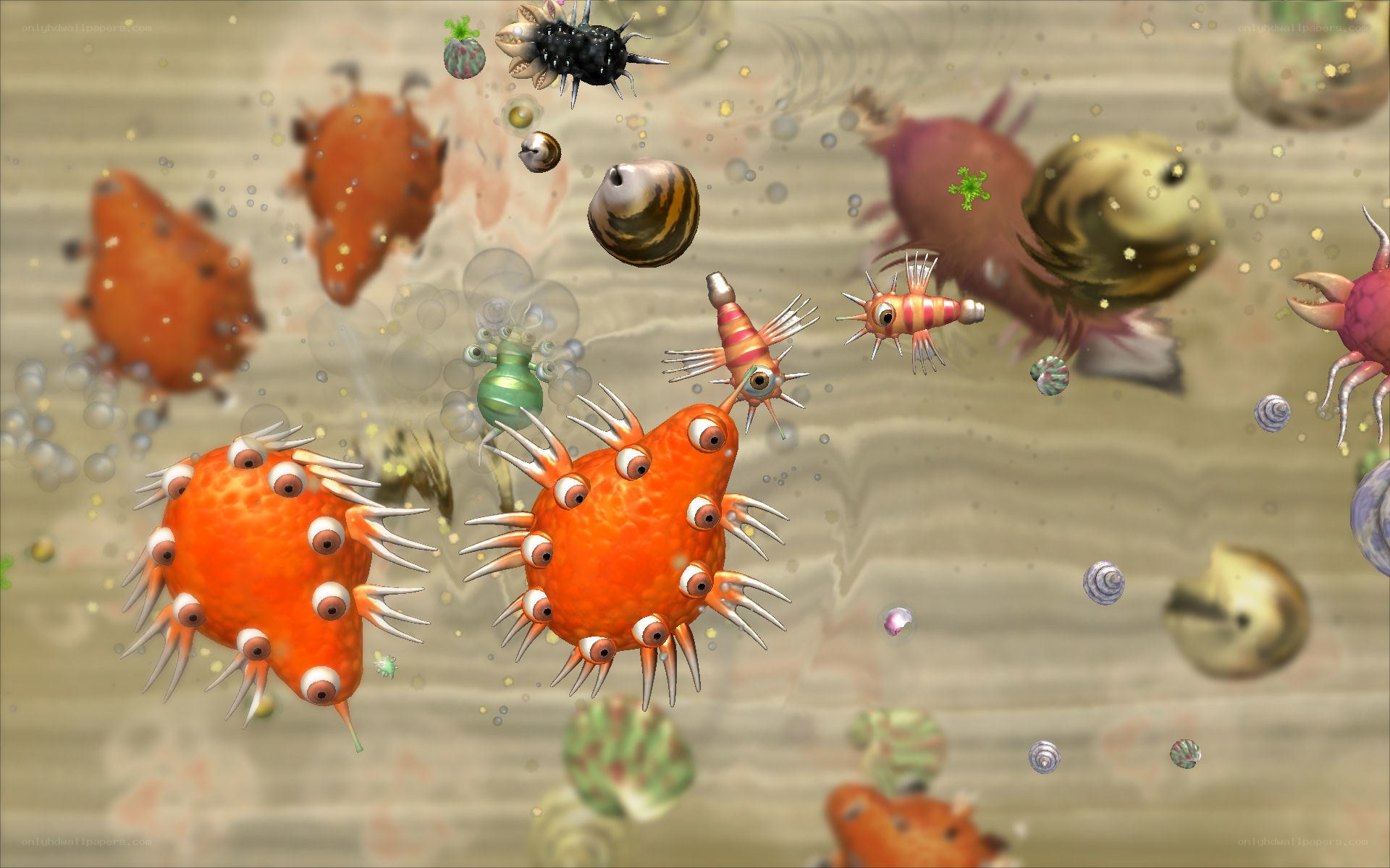 Underwater creatures in a vibrant scene