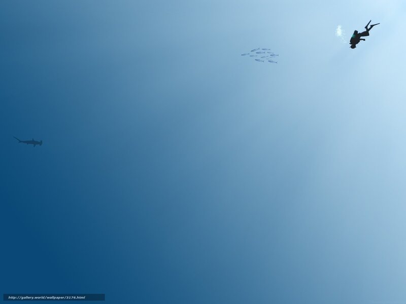 Underwater diver with fish