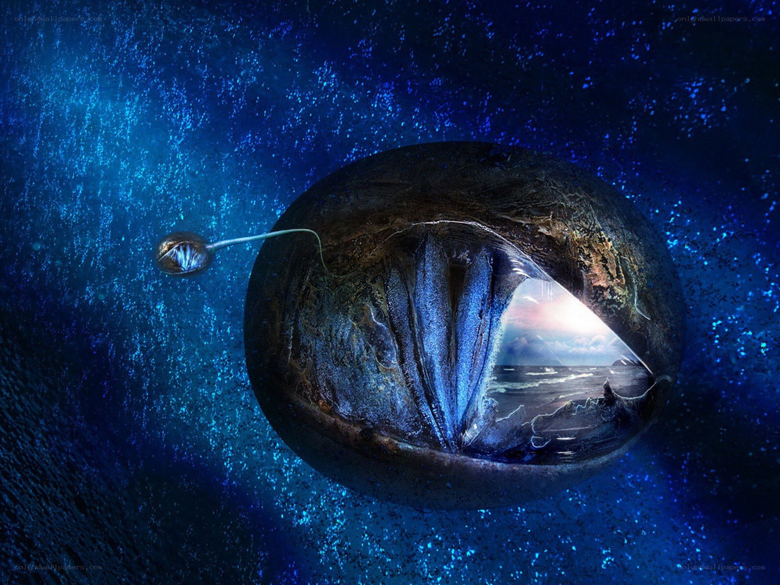 Underwater eye with jellyfish