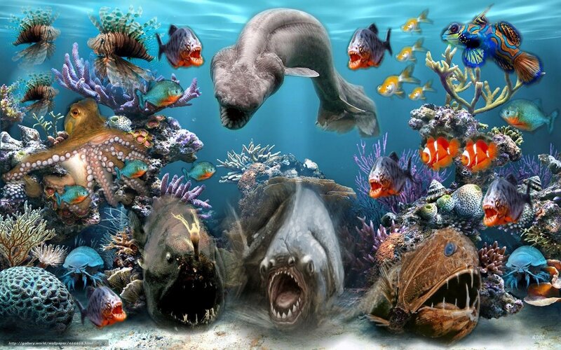 Underwater fish collage