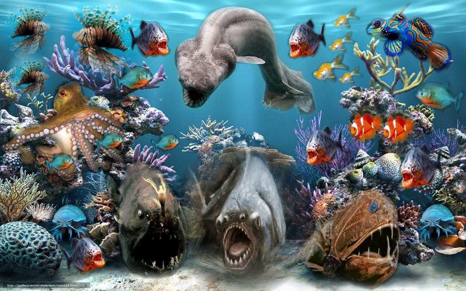 Underwater fish collage