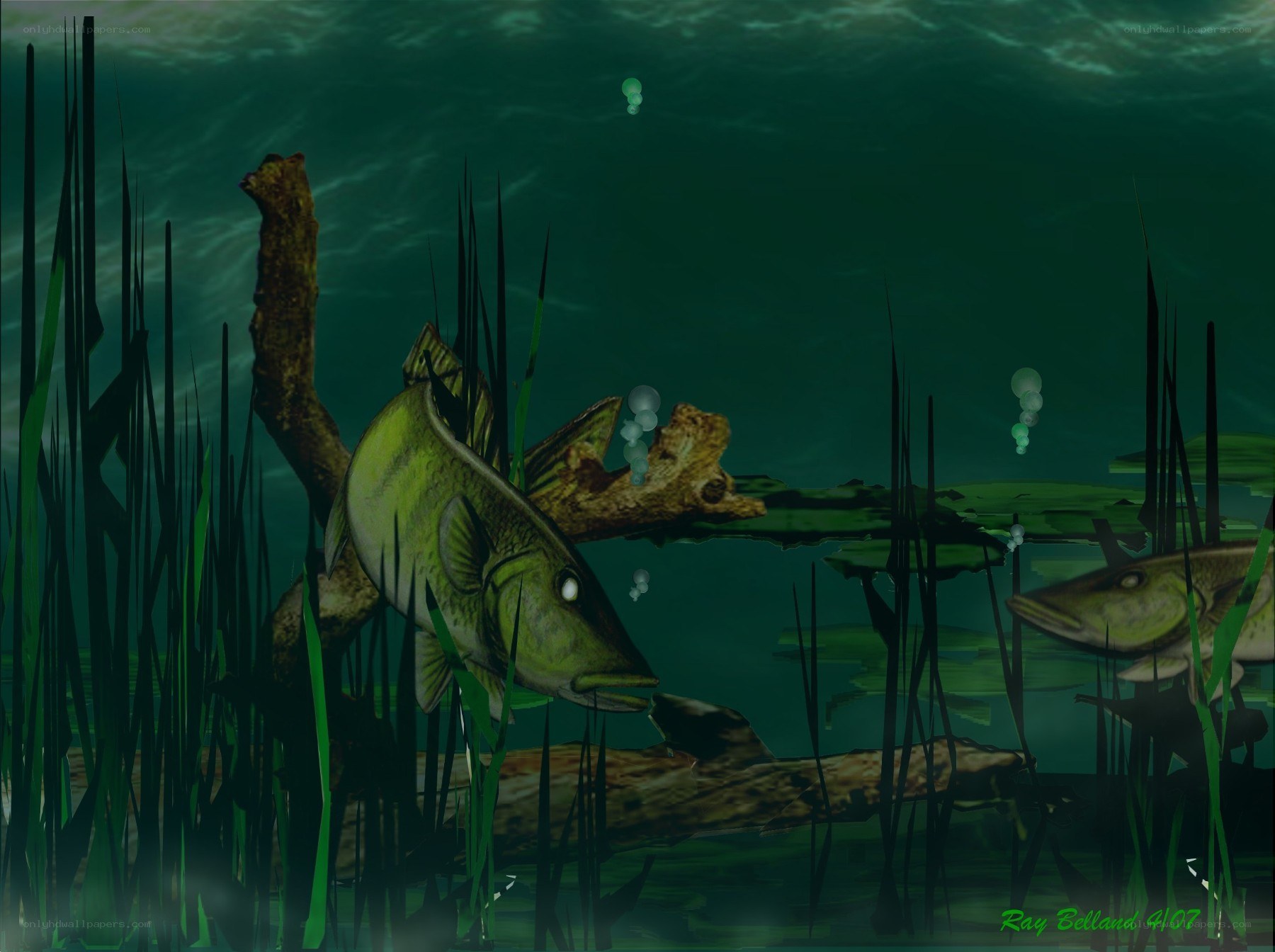 Underwater fish scene