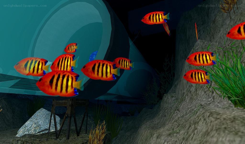 Underwater fish scene