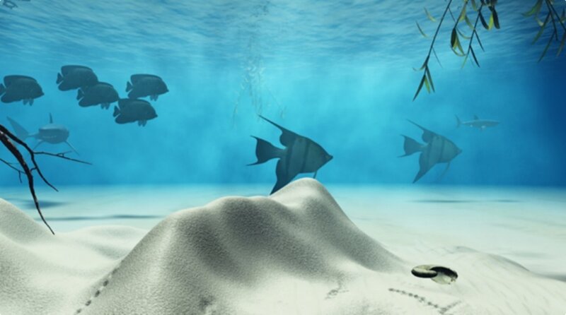 Underwater fish scene