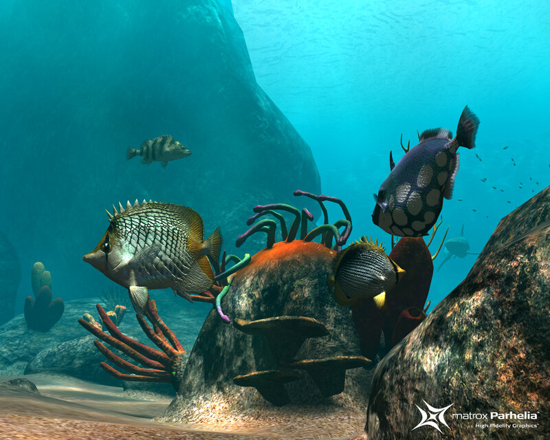 Underwater Fish Scene — Blue, Serene
