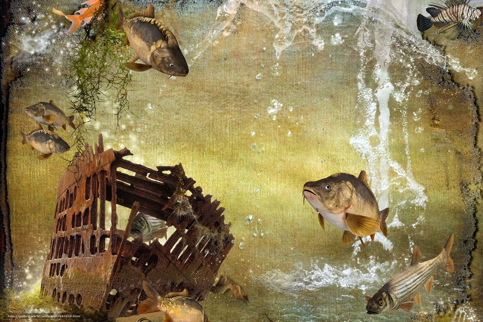 Underwater fish scene with shipwreck