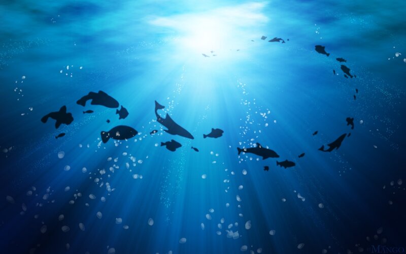 Underwater fish silhouettes