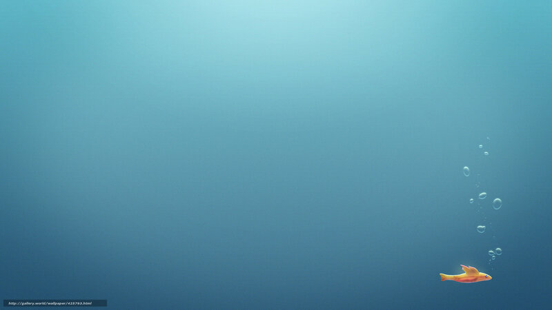 Underwater fish with bubbles
