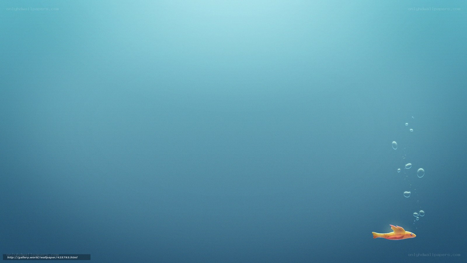 Underwater fish with bubbles