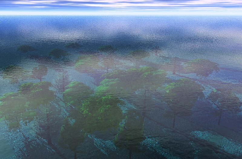 Underwater Forest