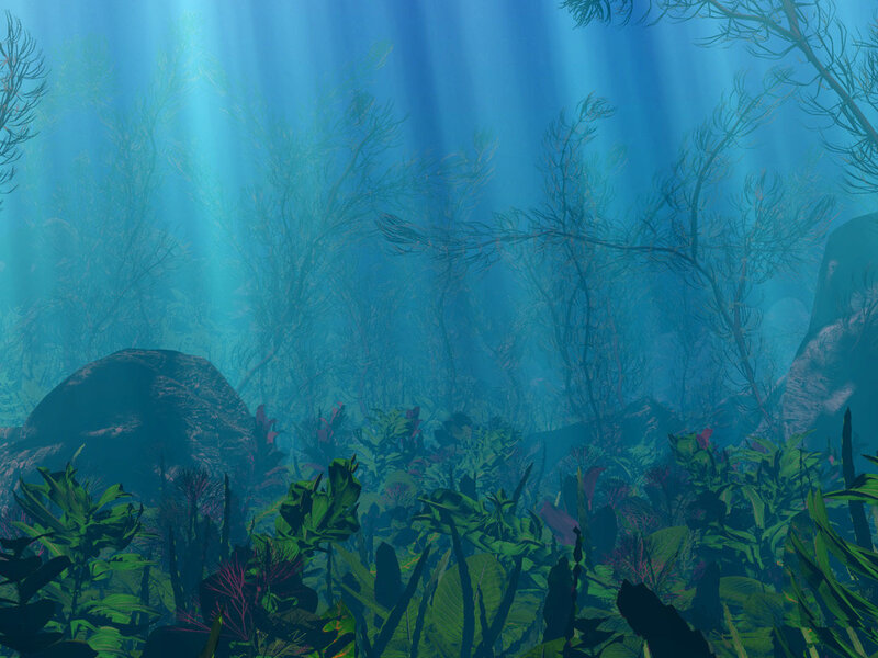 underwater forest with sunlight