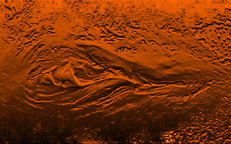 underwater fossil discovery