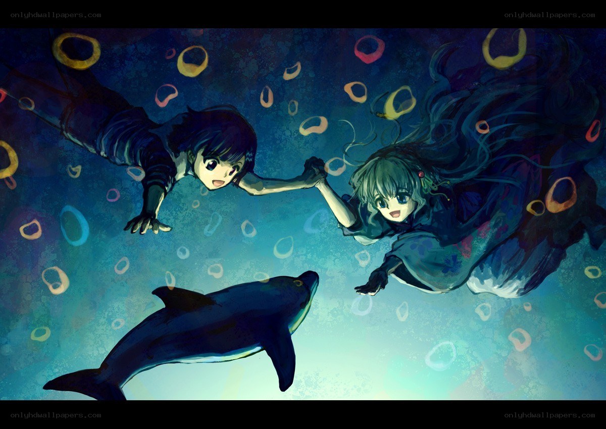 underwater friends with dolphin