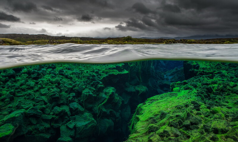Underwater Green Moss