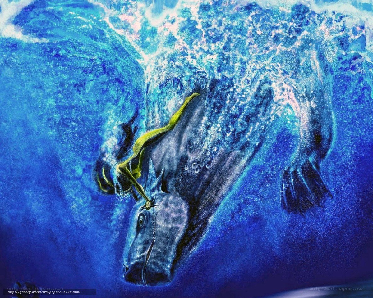 Underwater horse and rider