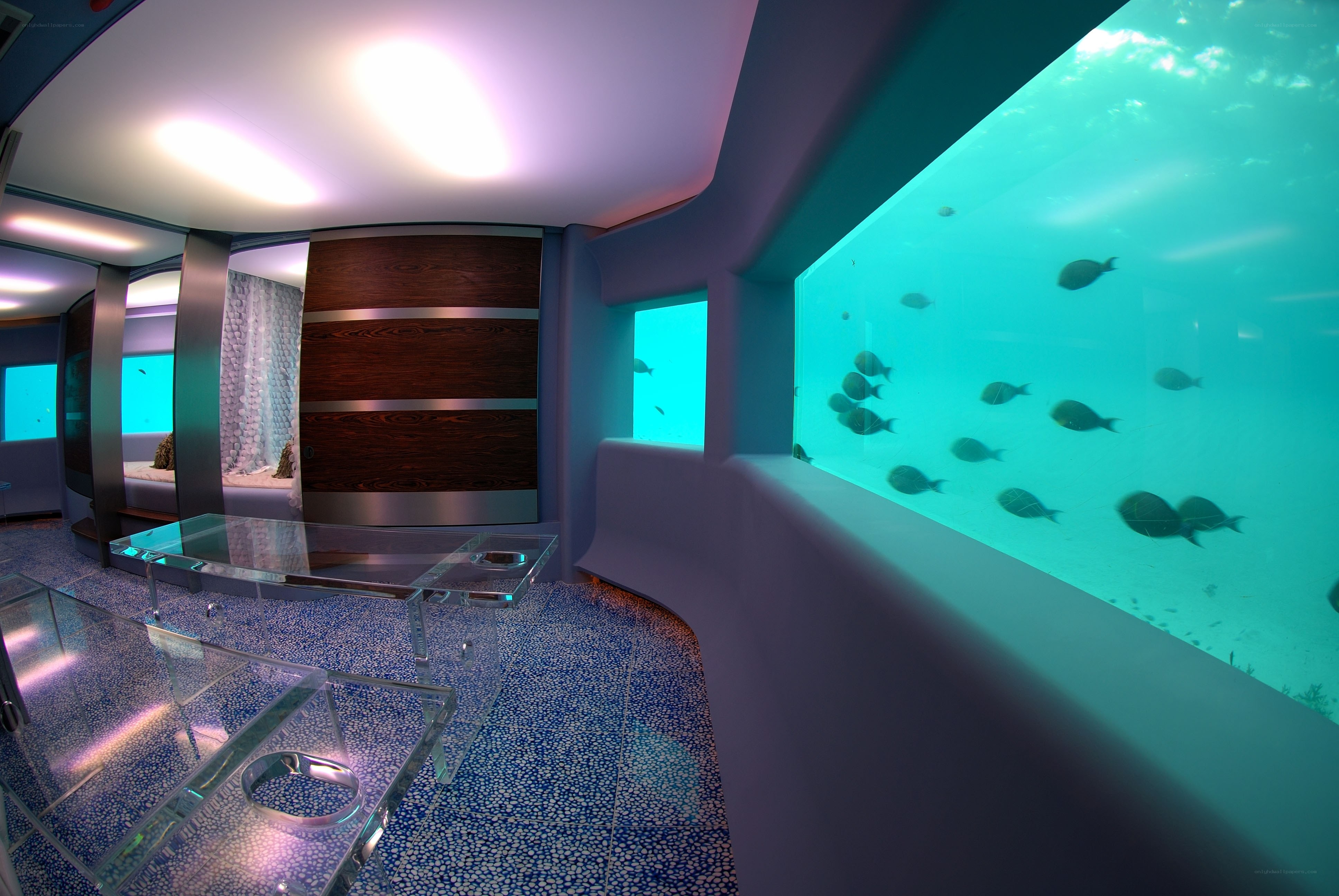 Underwater hotel room view