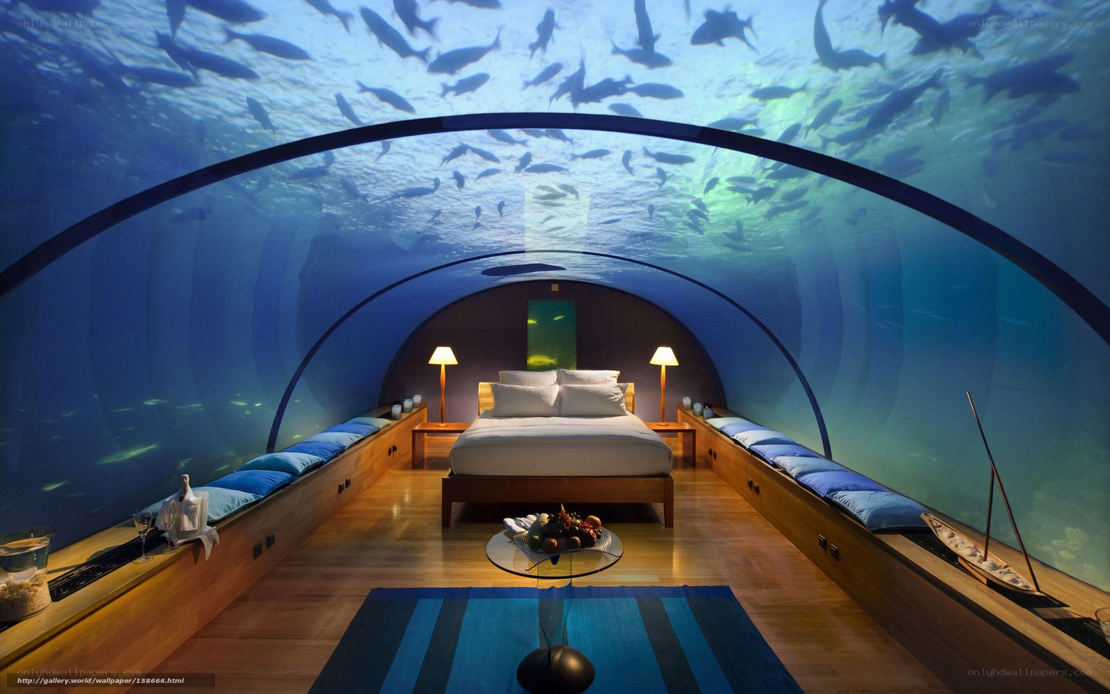Underwater hotel room with fish