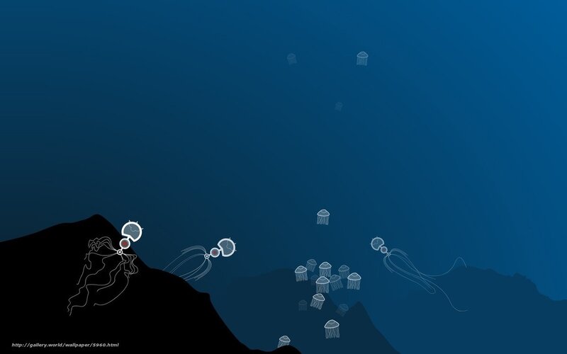 Underwater jellyfish scene