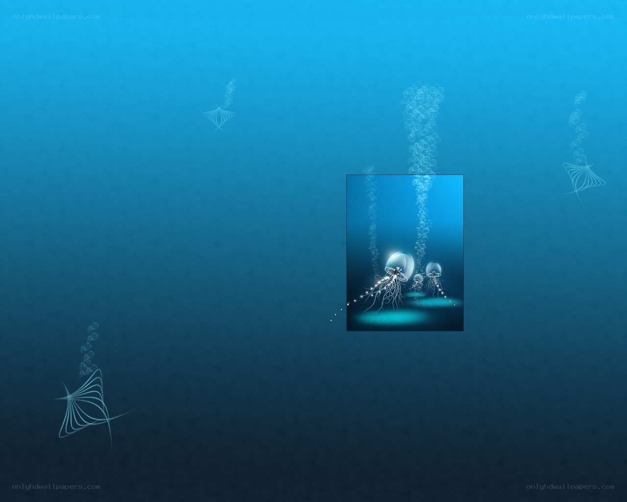 Underwater jellyfish scene