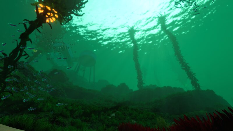 Underwater Kelp Forest — Green