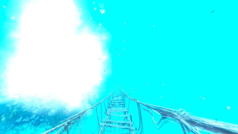 underwater ladder to surface
