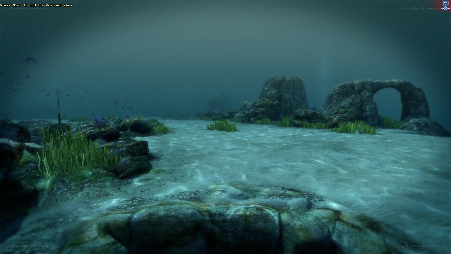 underwater landscape with rocks