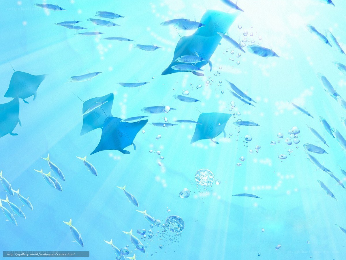 Underwater manta rays and fish