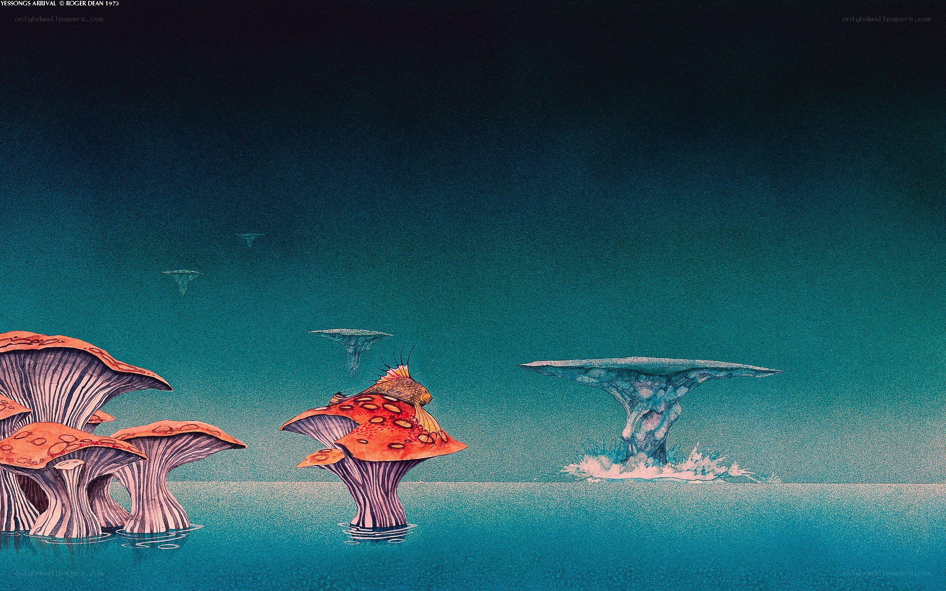 Underwater mushroom landscape