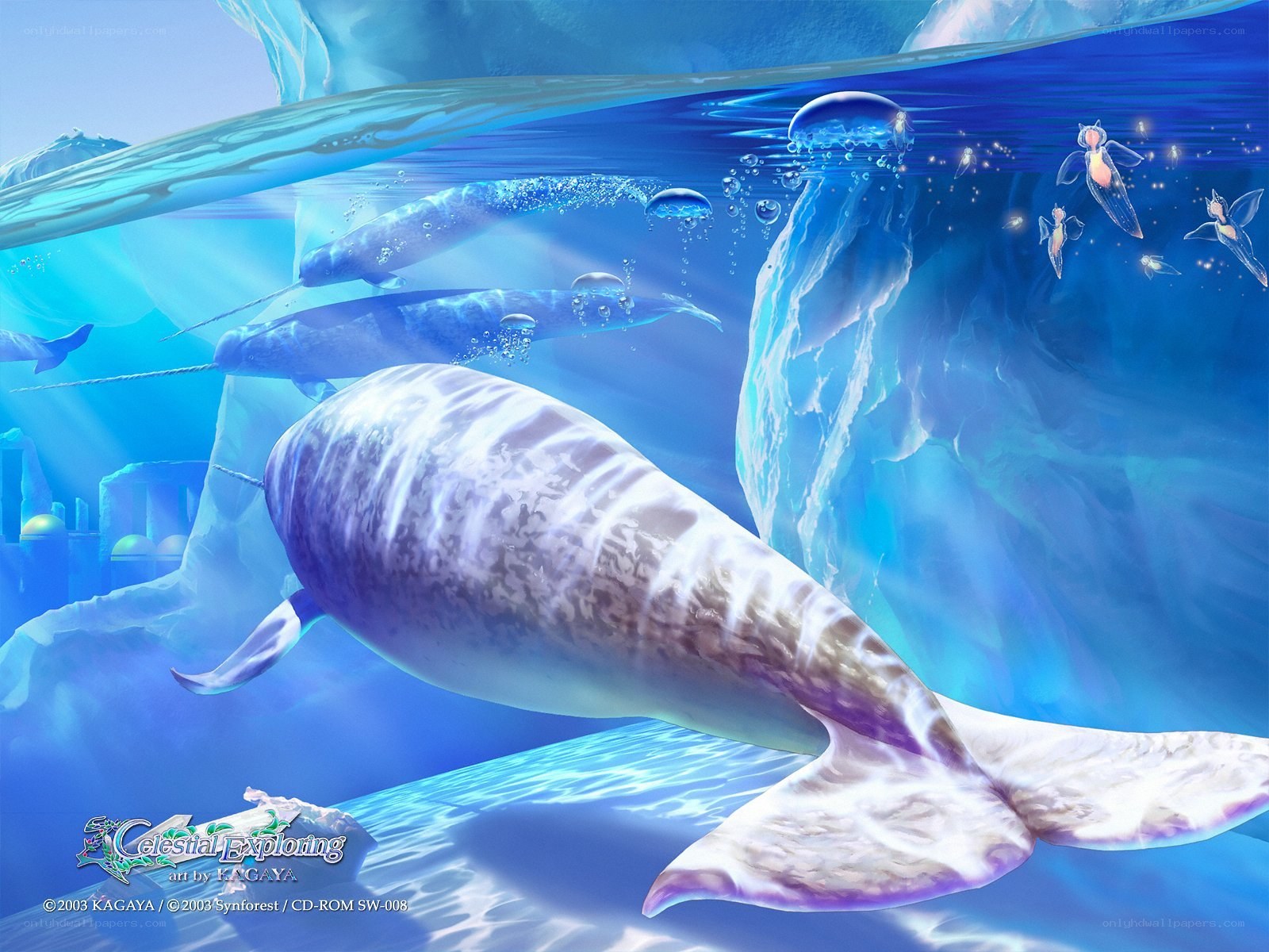Underwater narwhal scene