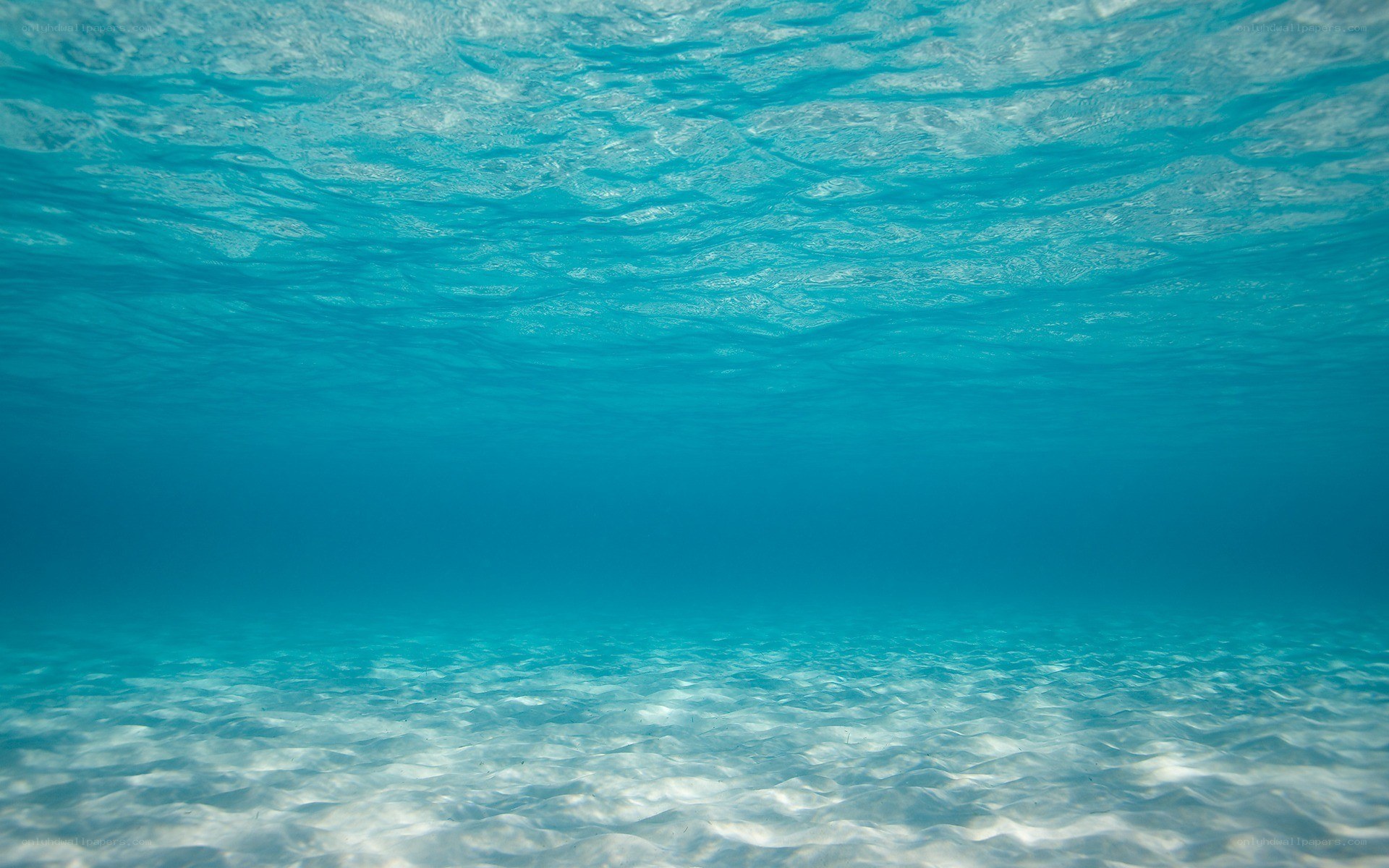 underwater ocean scene