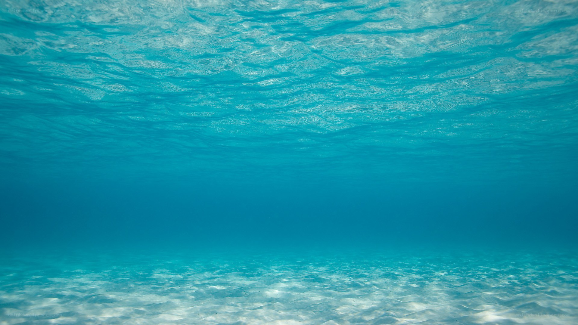 underwater ocean scene