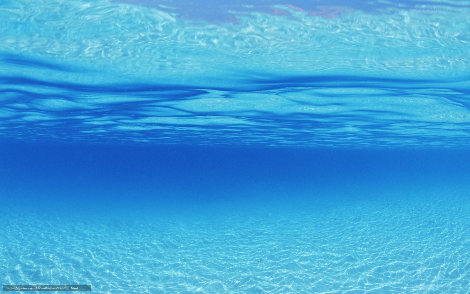 underwater ocean view