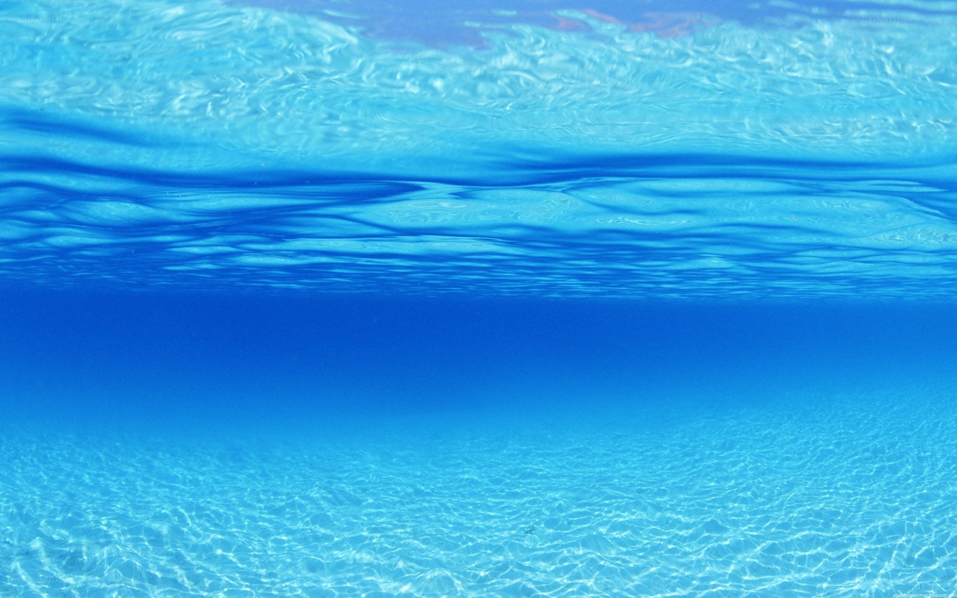 underwater ocean view