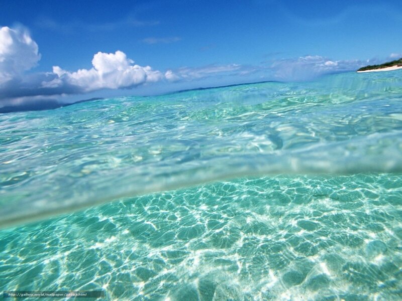 Underwater ocean view