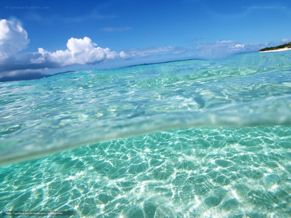 Underwater ocean view