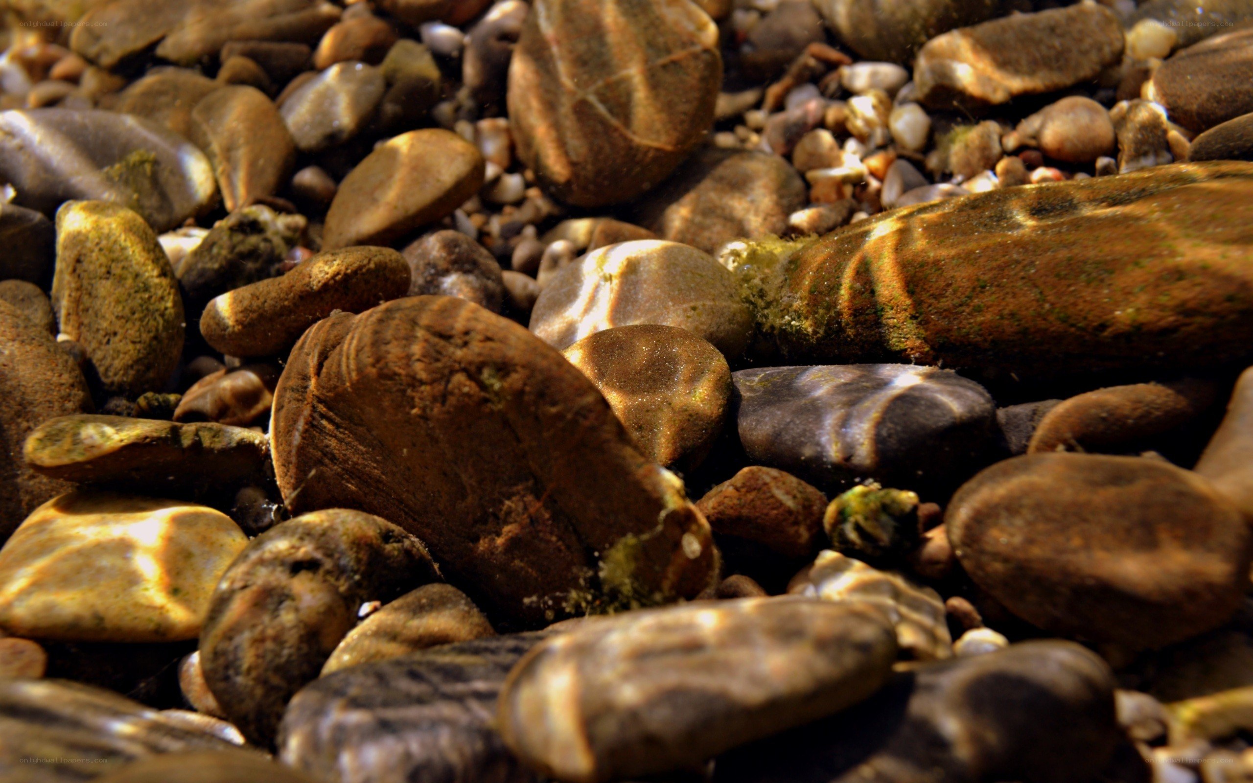Underwater pebbles in sunlight
