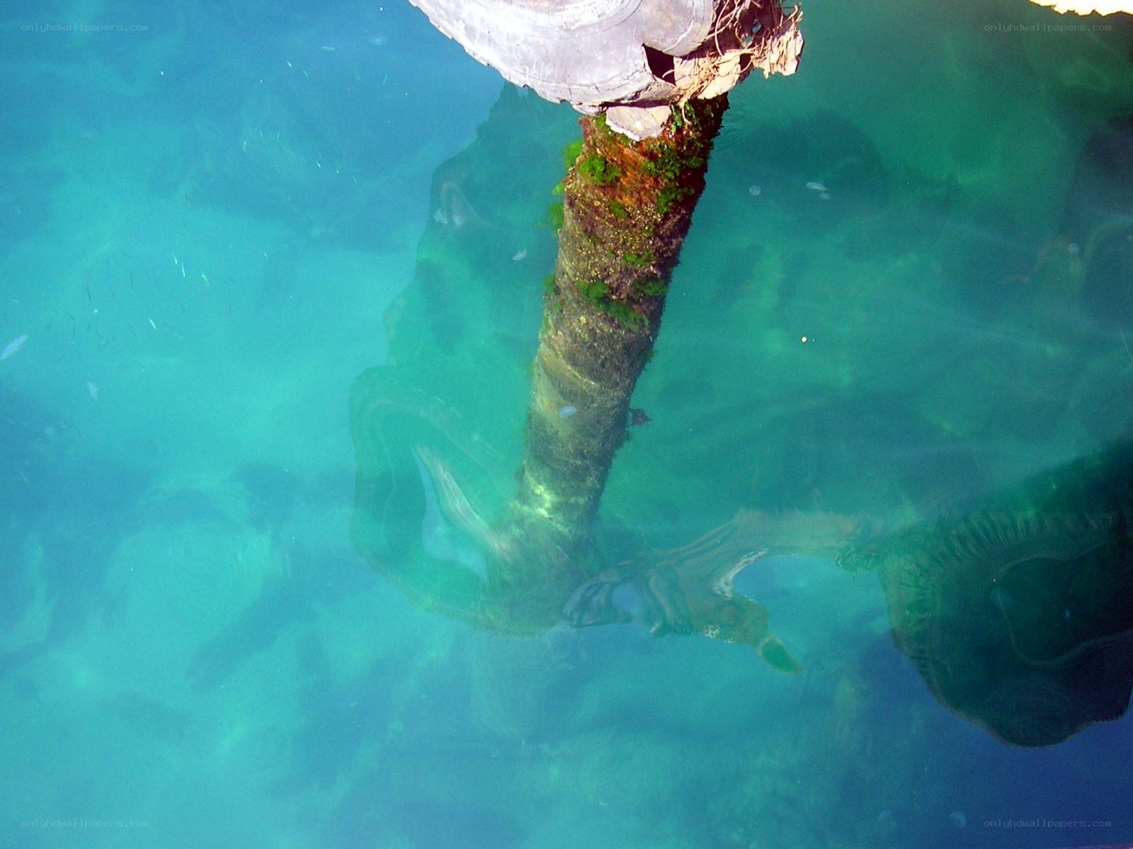 underwater pier post