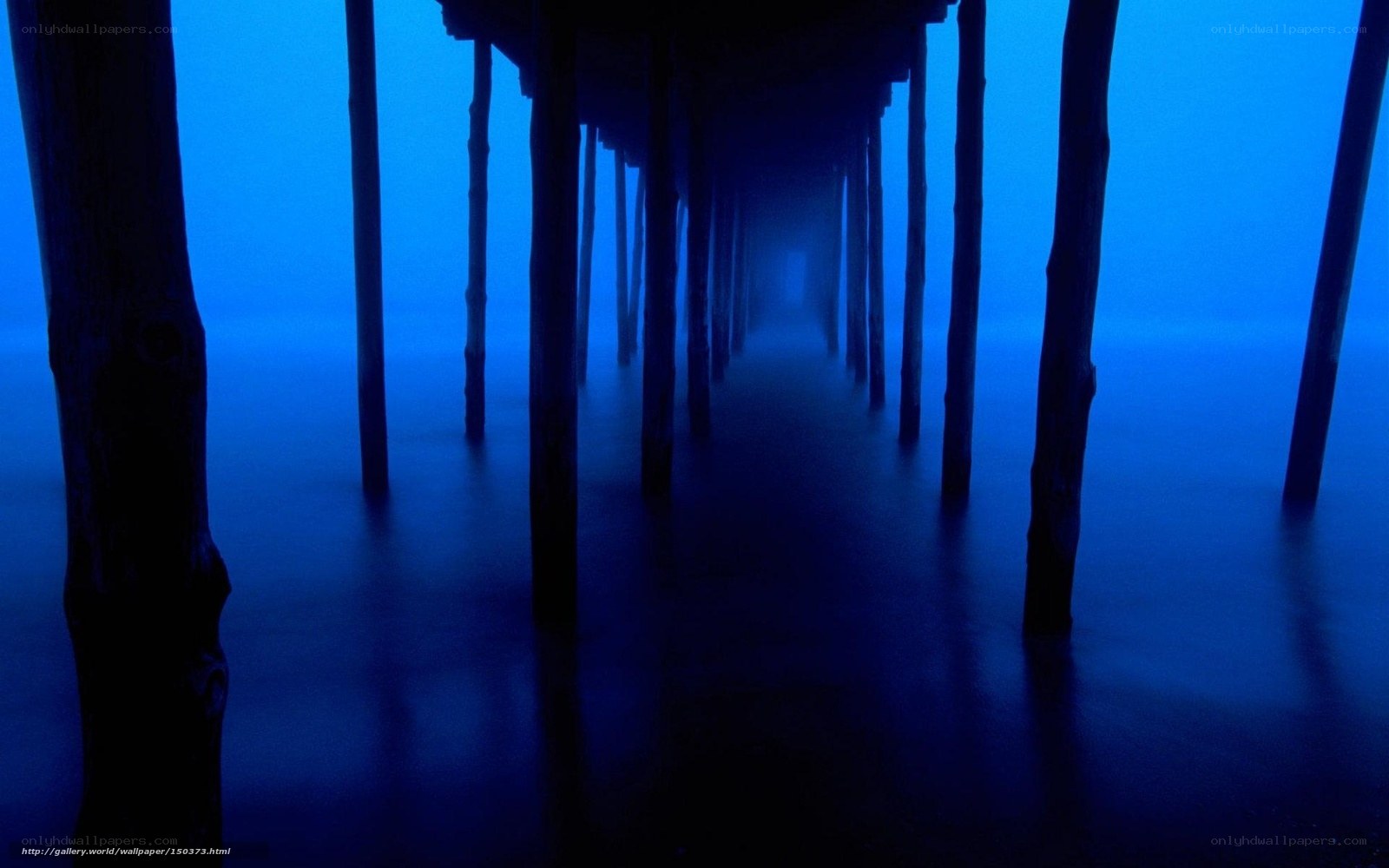 Underwater pier view